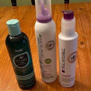 3 salon products for hair: Hask Conditioner; Biolage Mousse.; P. Mitchell Styler